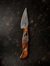 Titan "Painted Mesa" Damascus Hunting Knife | Cocobolo Rosewood & Turquoise Mosaic Handle | Hand-Tooled Leather Sheath TK-514
