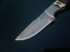 DAMASCUS STEEL FIXED BLADE KNIFE WITH WALNUT & STAG HORN HANDLE HUNTING KNIFE MINI TD-159X