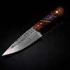 Hand-Forged Damascus Steel Drop Point Outdoor Utility Tool | Rosewood, Black & Purple Honeycomb Handle TK-510