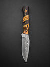 Titan "Tiger Run" Damascus Hunting Knife | Wenge & Tigerwood Segmented Handle | Two-Tone Hand-Tooled Leather Sheath TK-518