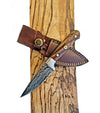 Cheff - Damascus Pairing Knife TD-217